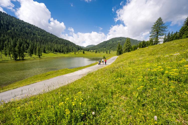 Moutainbike_Eggeralm_Dellacher_Alm_Runde_00000019086_Stabentheiner-122_MICHAEL_STABENTHEINER